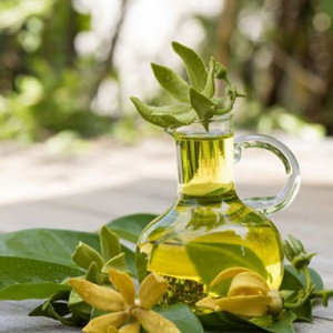 tinh dầu ngọc lan nguyên chất